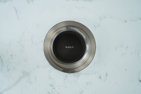 Kaelo Crown Flushed Brushed Stainless Steel crown